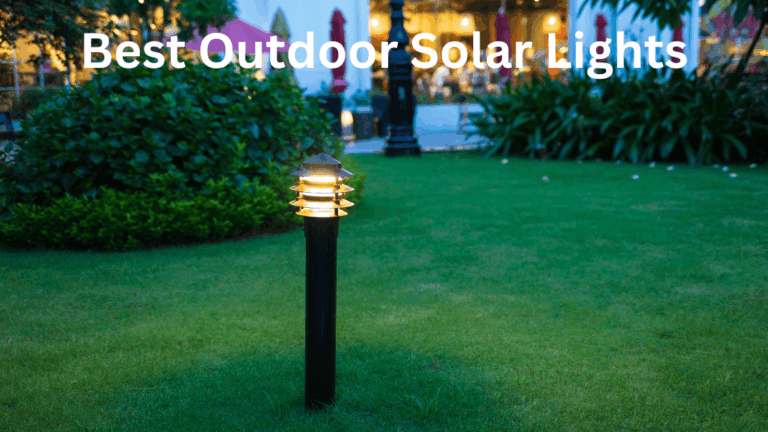 Best Outdoor Solar Lights